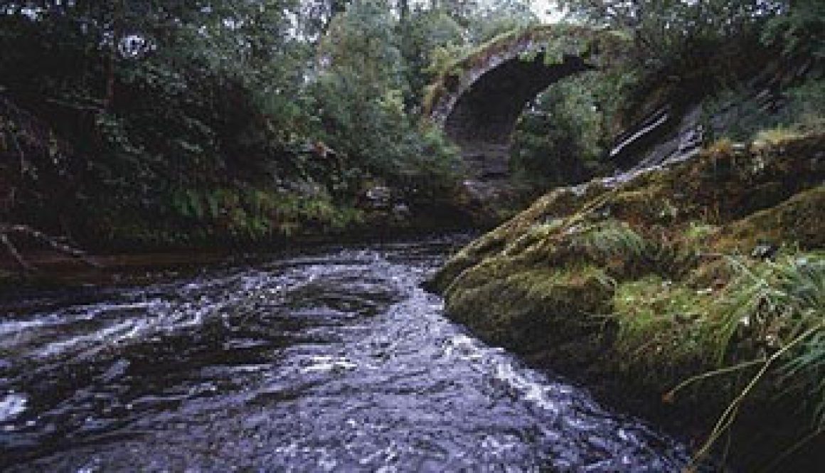 Whisky Region: Speyside