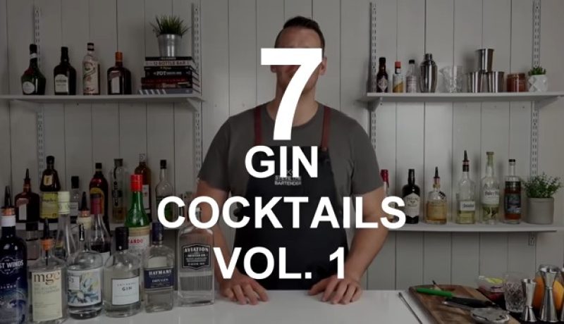 BEST GIN COCKTAILS and How to Make Them with Ingredients - VOL (0)