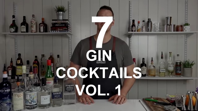 BEST GIN COCKTAILS and How to Make Them with Ingredients - VOL (0)