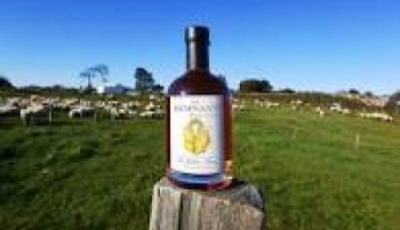 Golden fleece