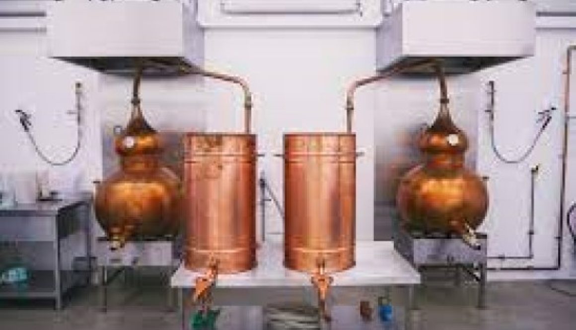 International whisky day