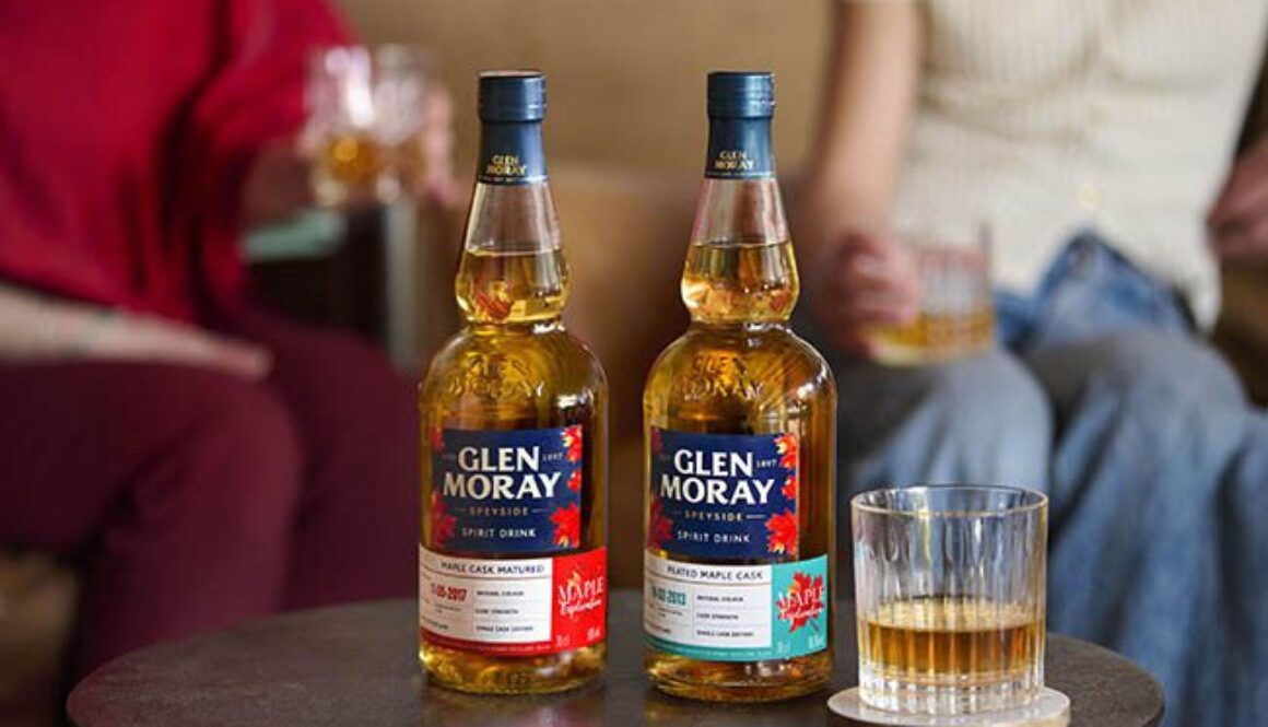 GLEN MORAY MAPLE